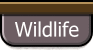 Wildlife