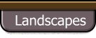 Gallery - Landscapes